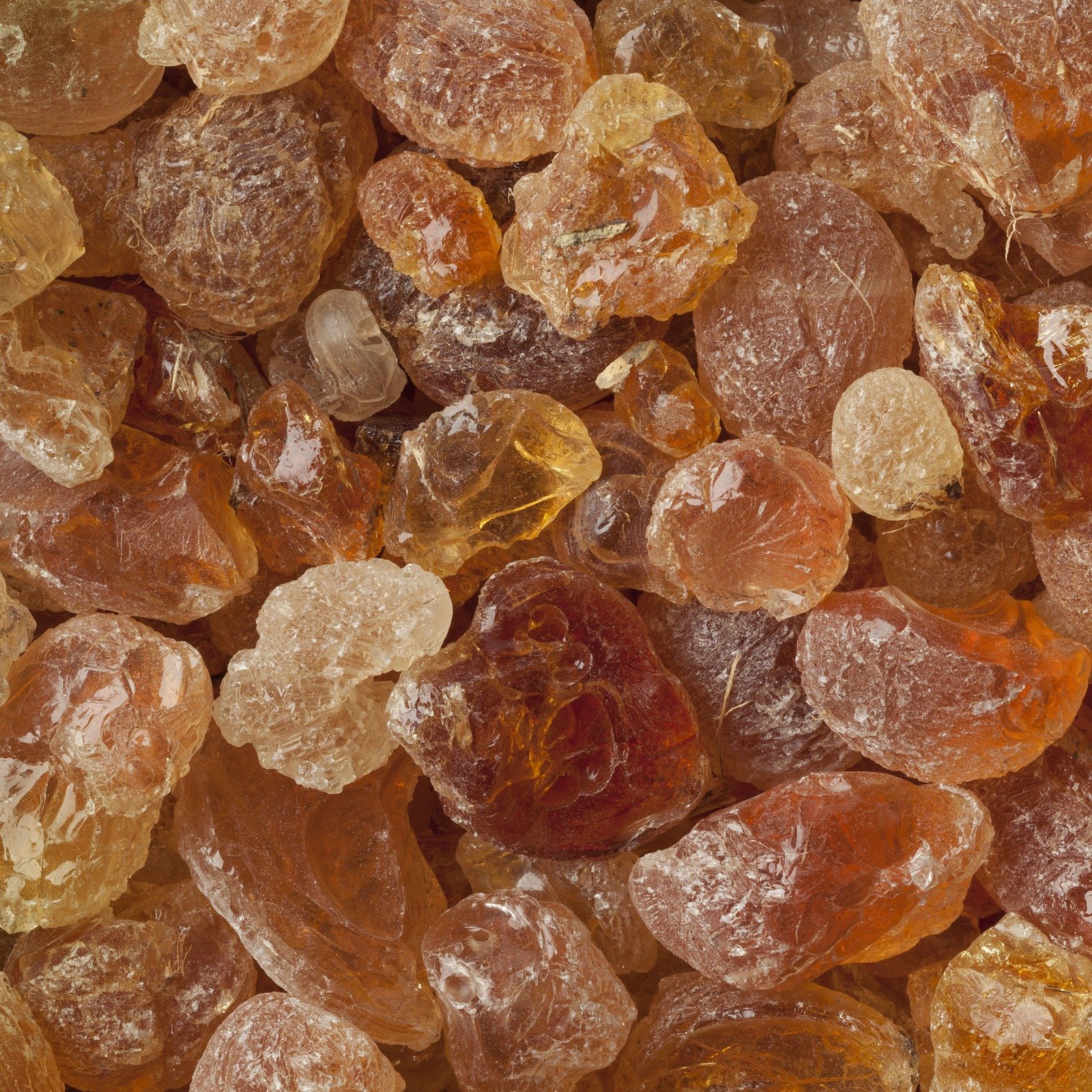 chilled food export
