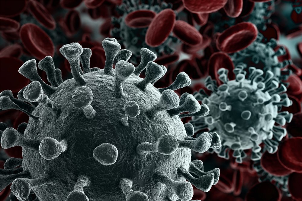 coronavirus